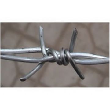 Barbed Wire